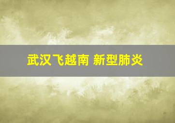 武汉飞越南 新型肺炎